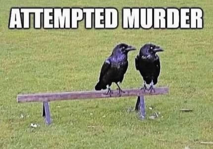 Badum tssss