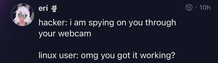 The hacker got into his VM and is looking through a virtual webcam