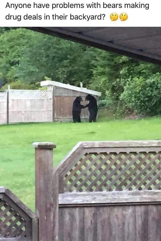 "You got the berries?" "You got the salmon?"
