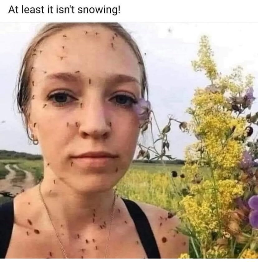 ​​​