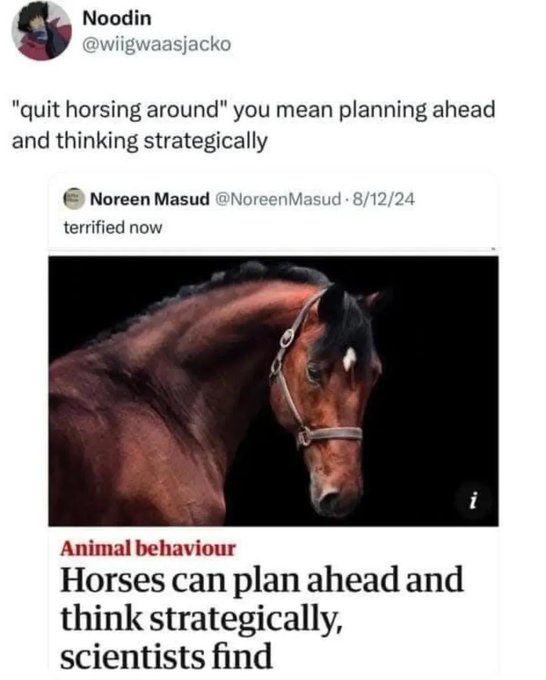 Neigh
