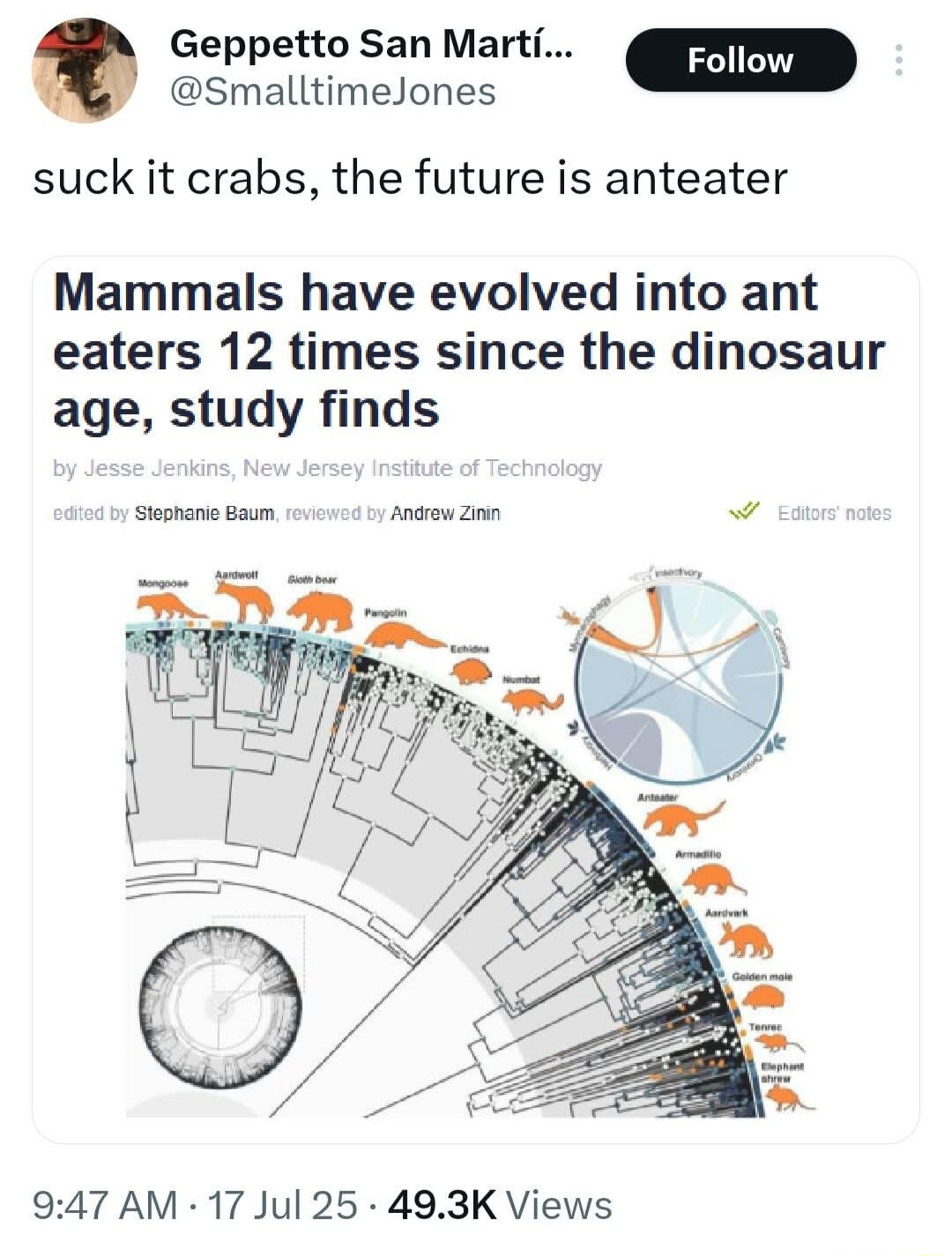 ​​​