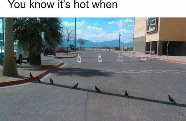 ​​​