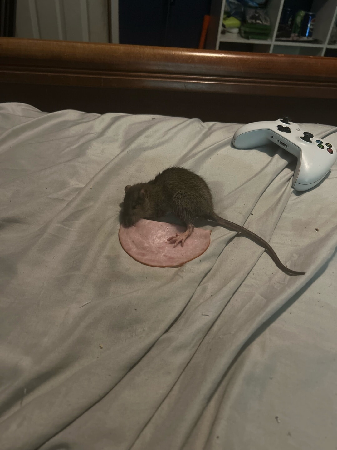 ​​​