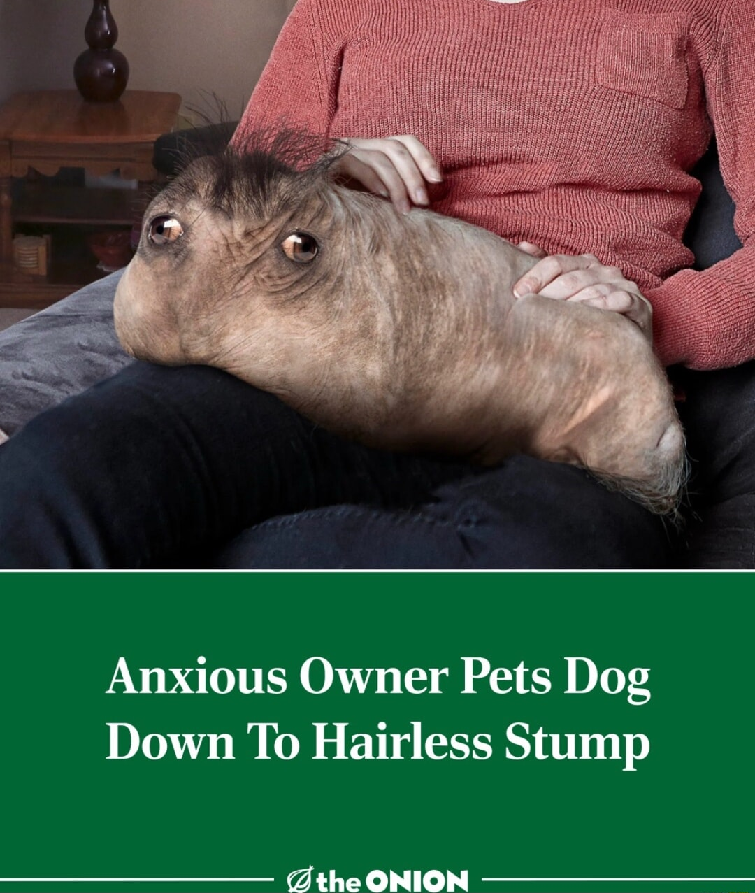 ​​​