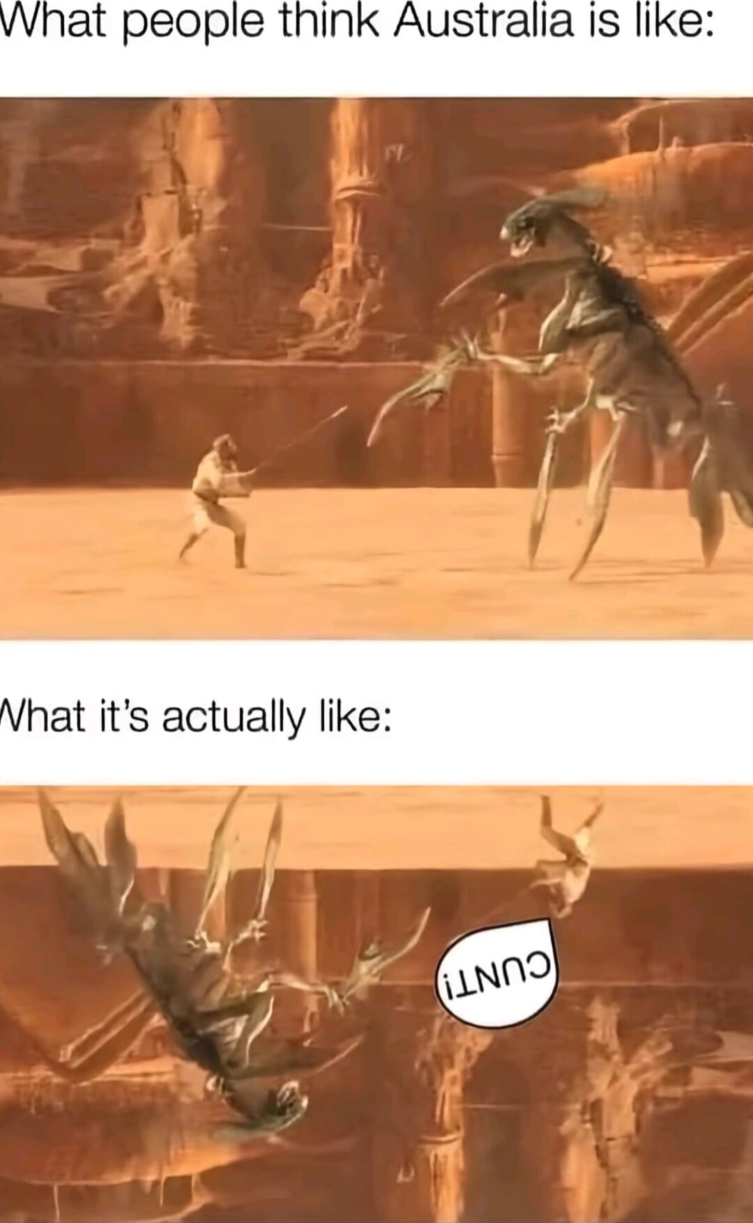 ​​​