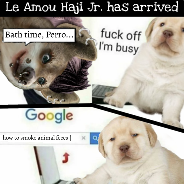 ​​​