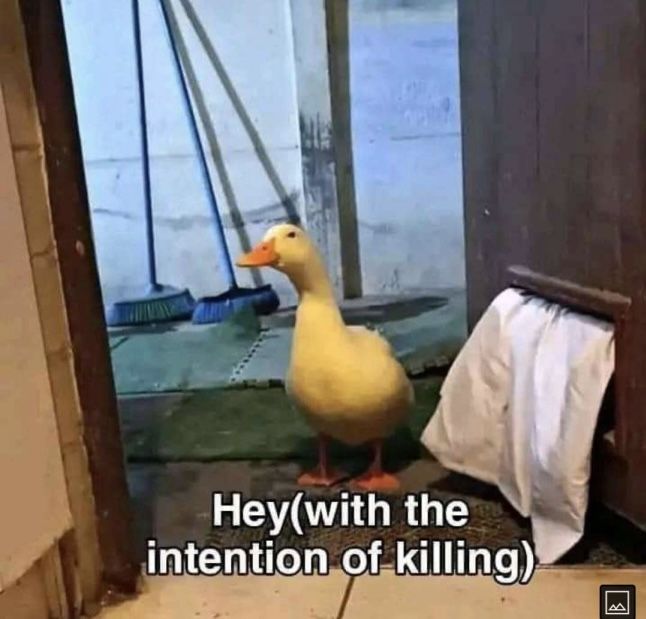 ***