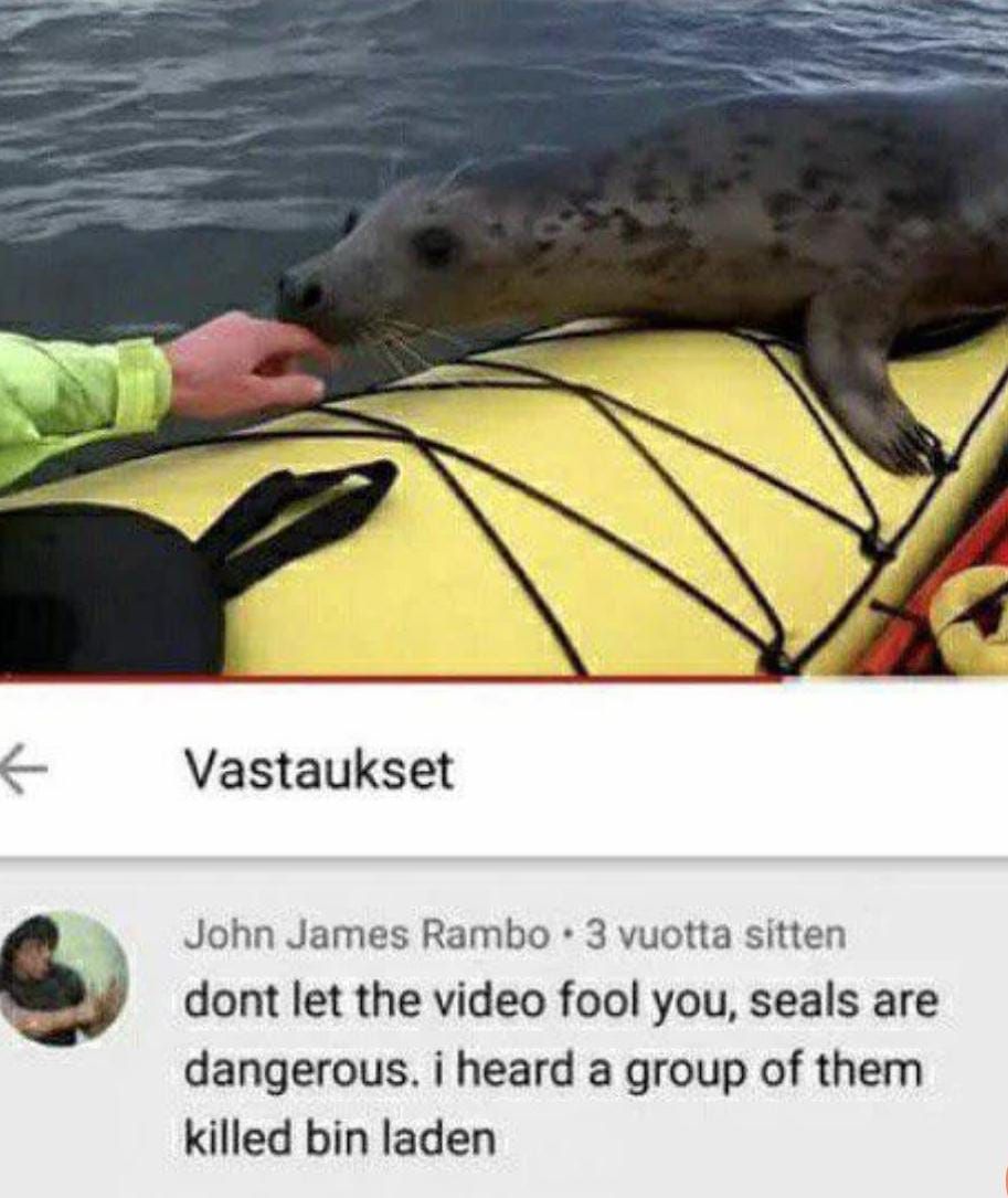 Water Doggo