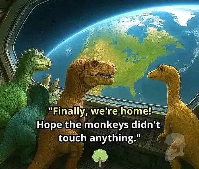 Unfortunately, the monkeys did, in fact, touch a lot of things
