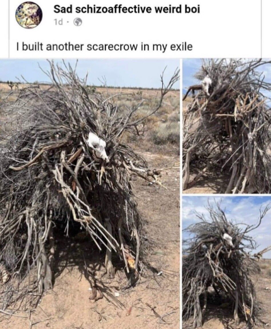 This thing scares more than crows