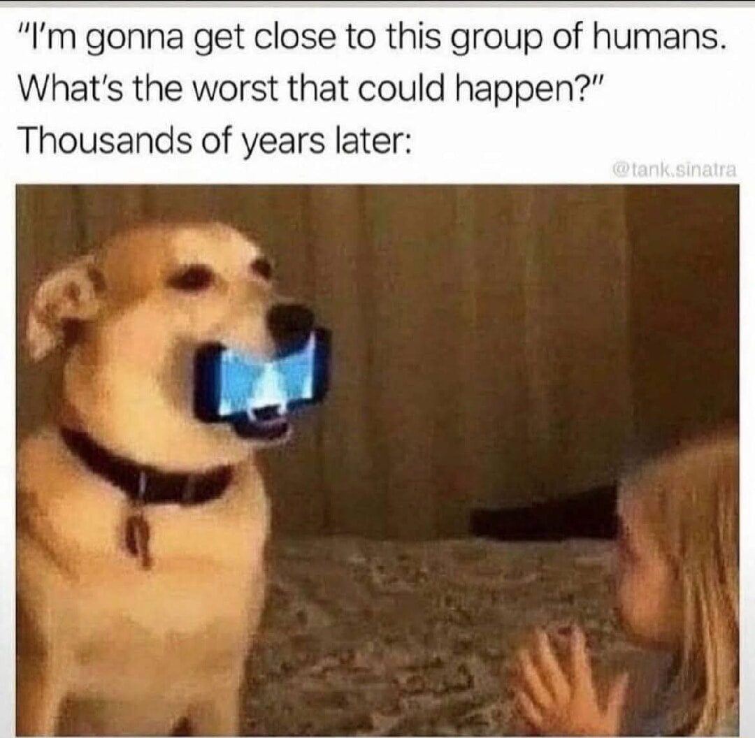 ​​​