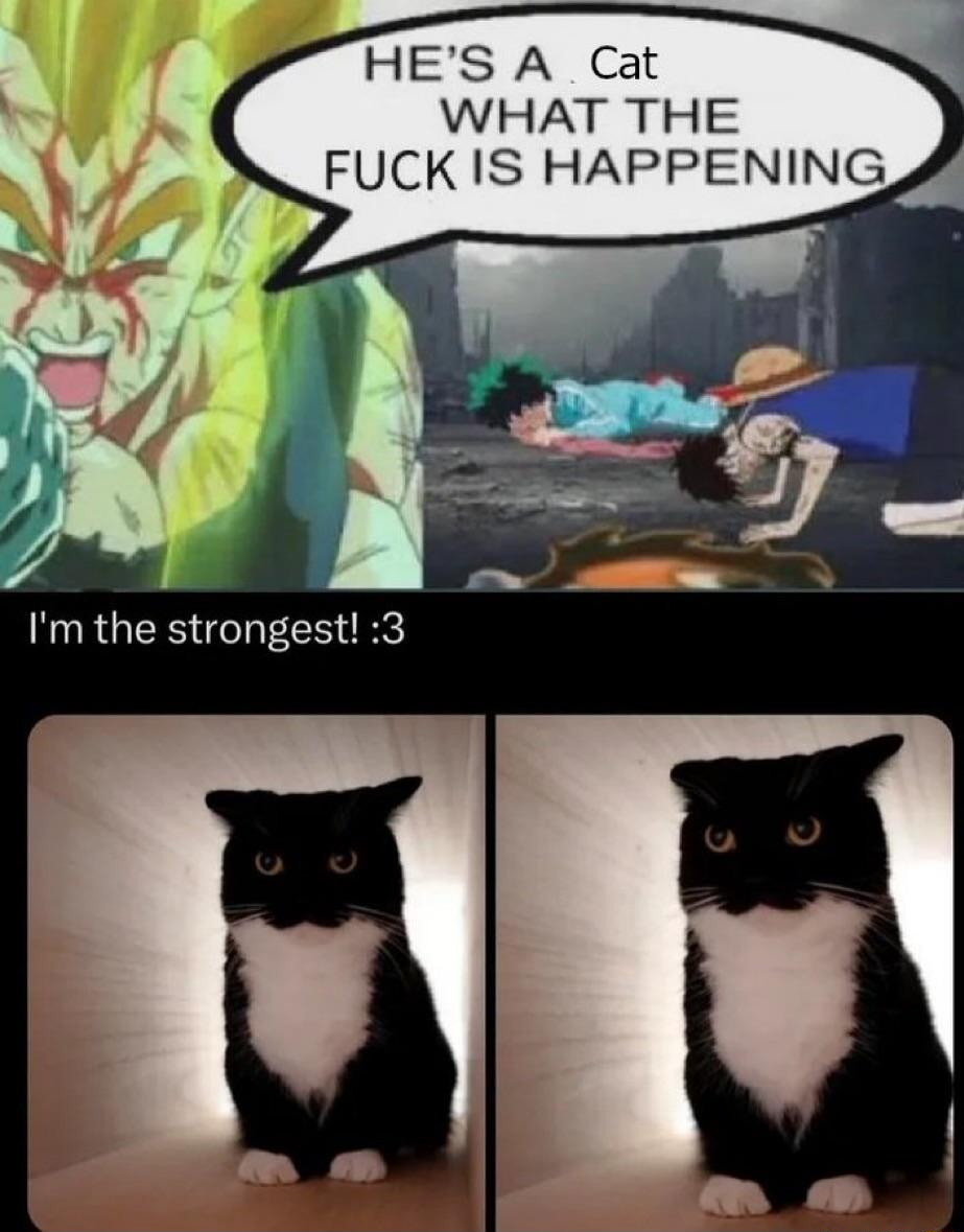 ​​​