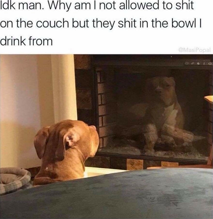 ​​​