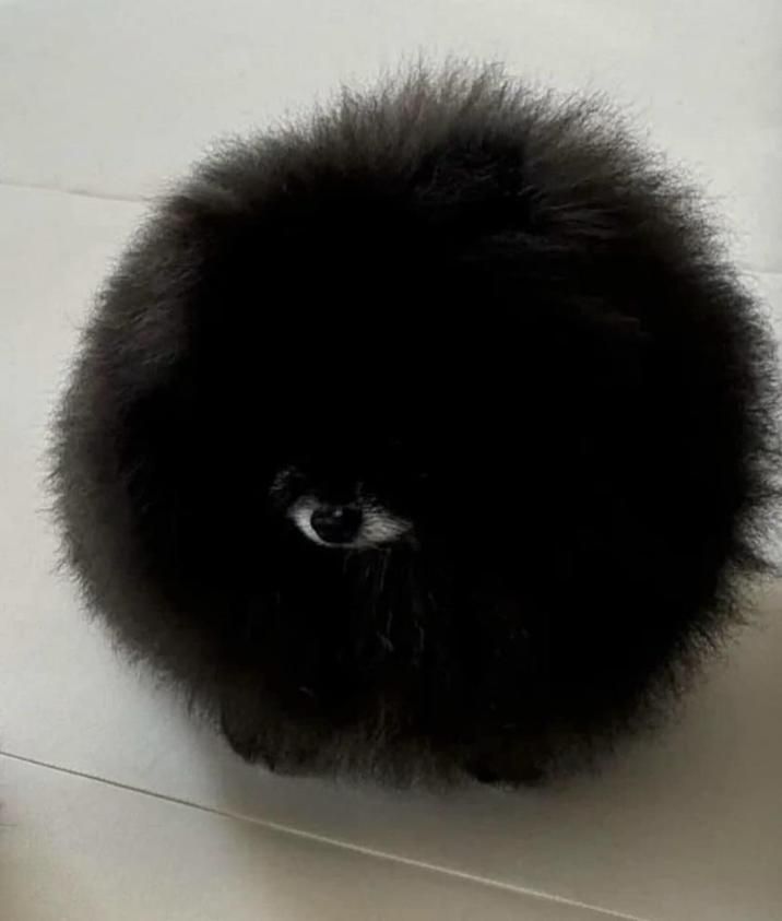 ​​​