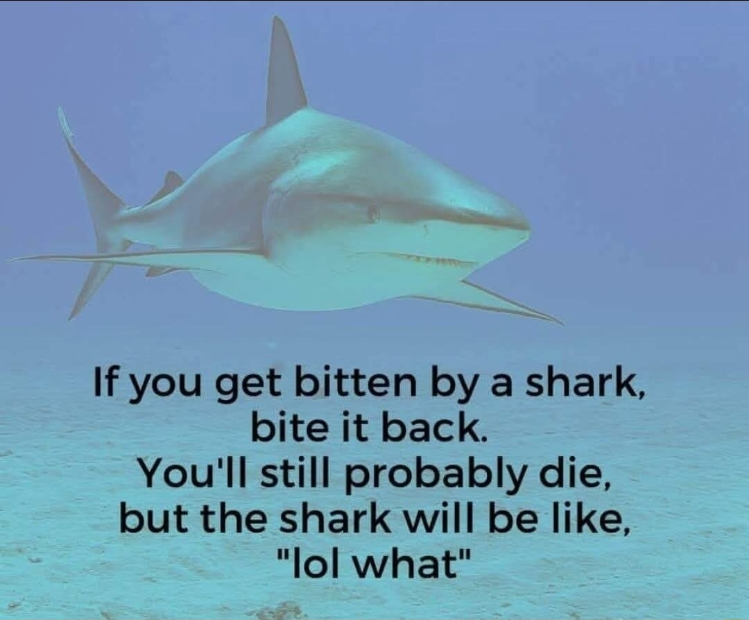 ​​​