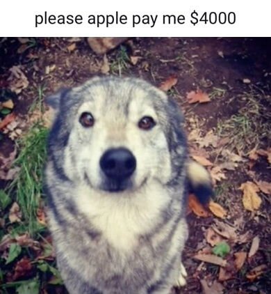 ​​​