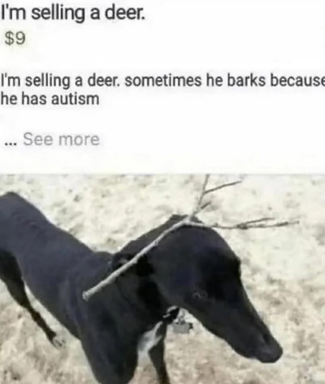 ‎ ‎ ‎
