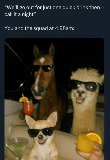 (⌐■_■)