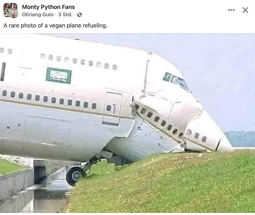 Its vegan