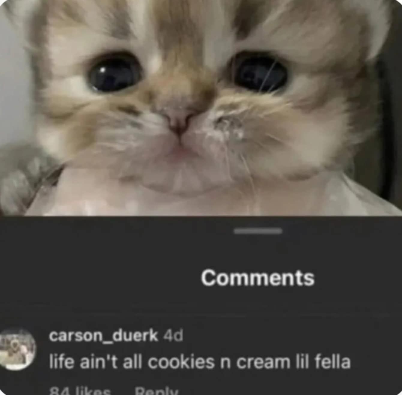 Life is pain, suffering even
