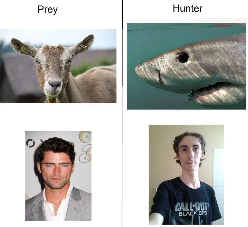 Accurate