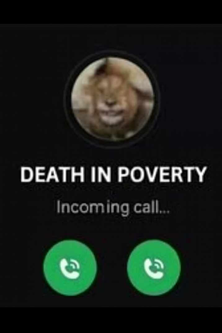 ​​​
