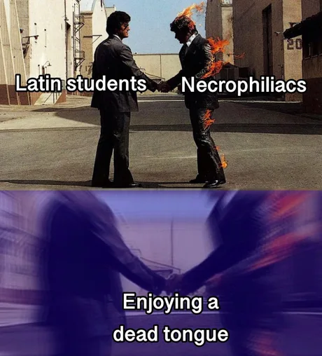 ‎