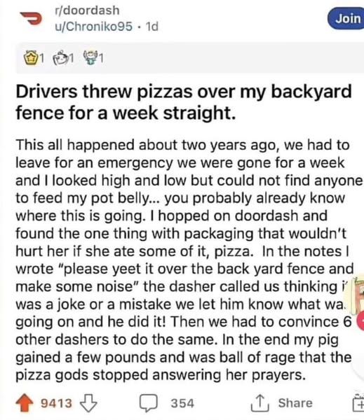 Pet stories