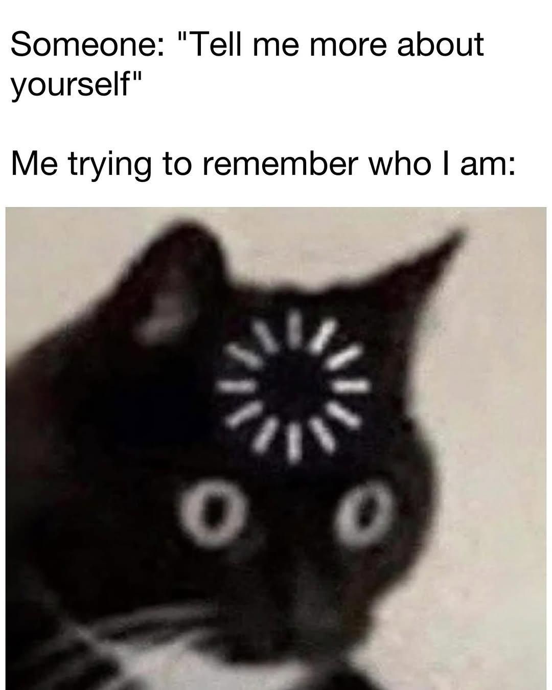 After lurking on the internet the whole summer again