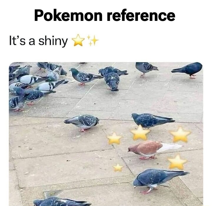 ​​​