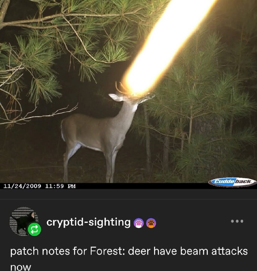 ​​​