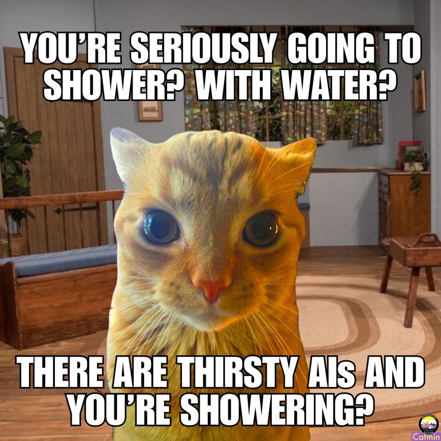 dripping pipe meme . png