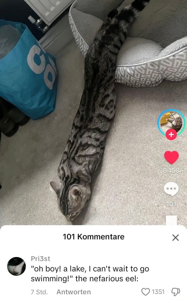 ​​​