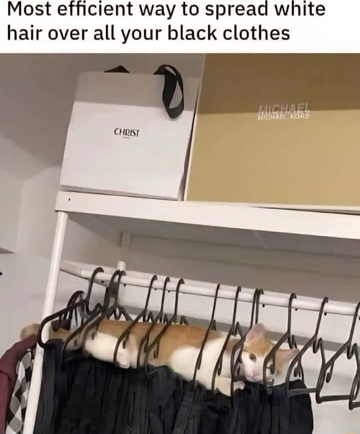 ​​​