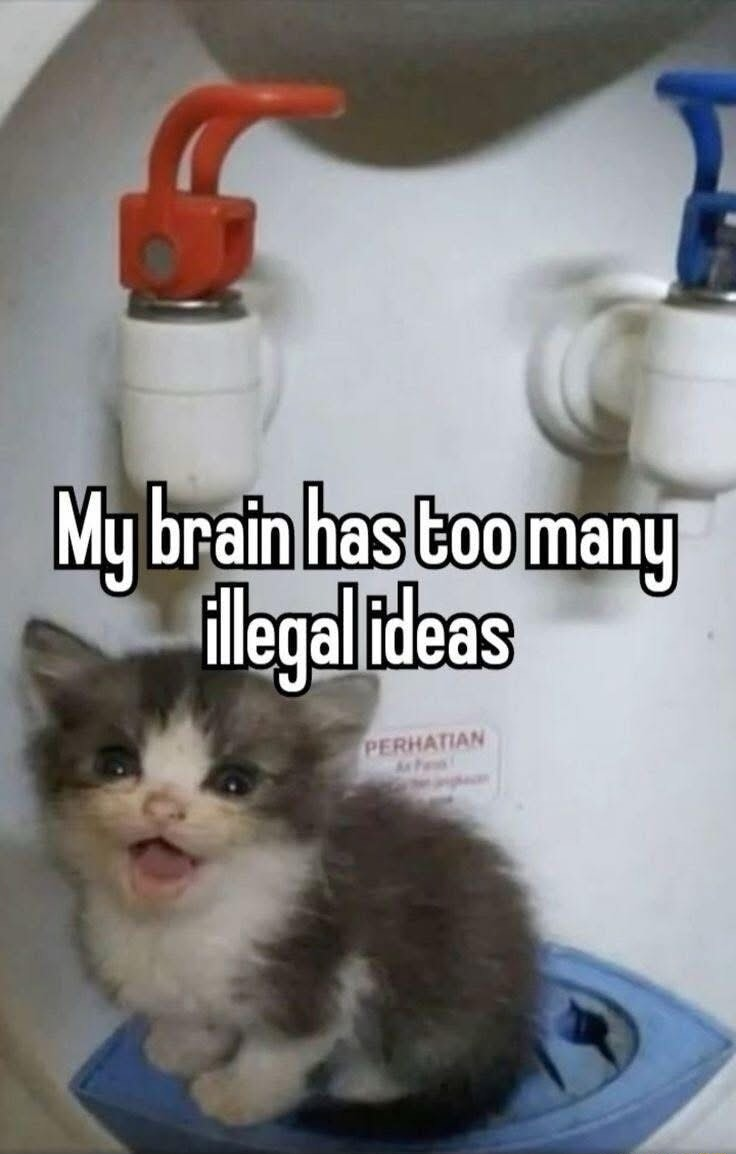 ​​​