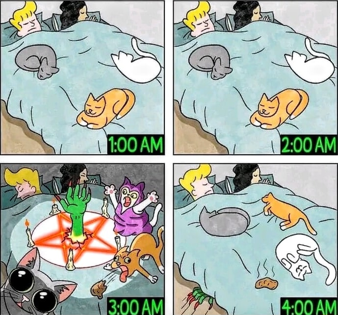 ​​​