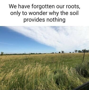 ​​​
