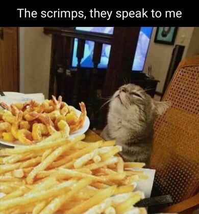 ​​​