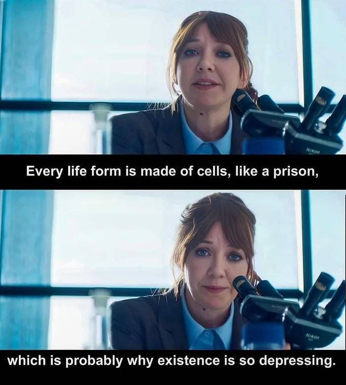 It's funny because it's true