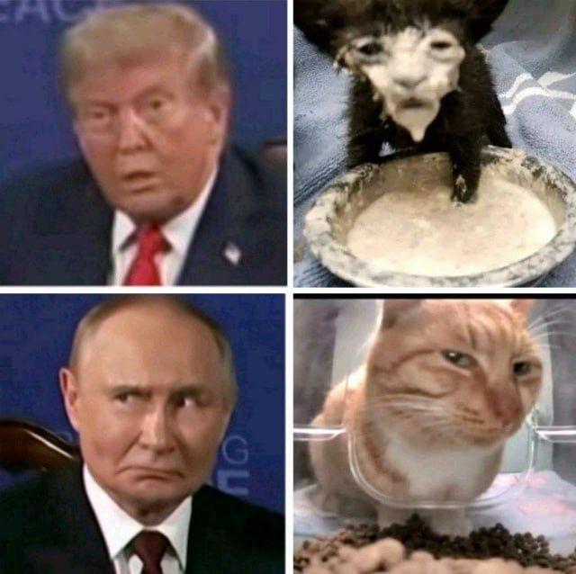 Hmmmm