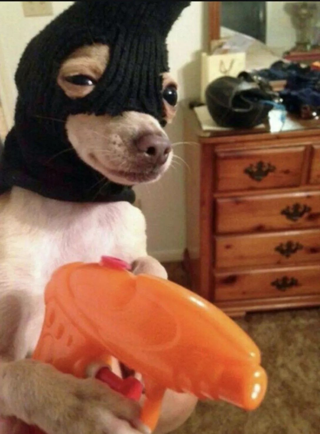 This is a robbery. Give me your Azula feet pics.