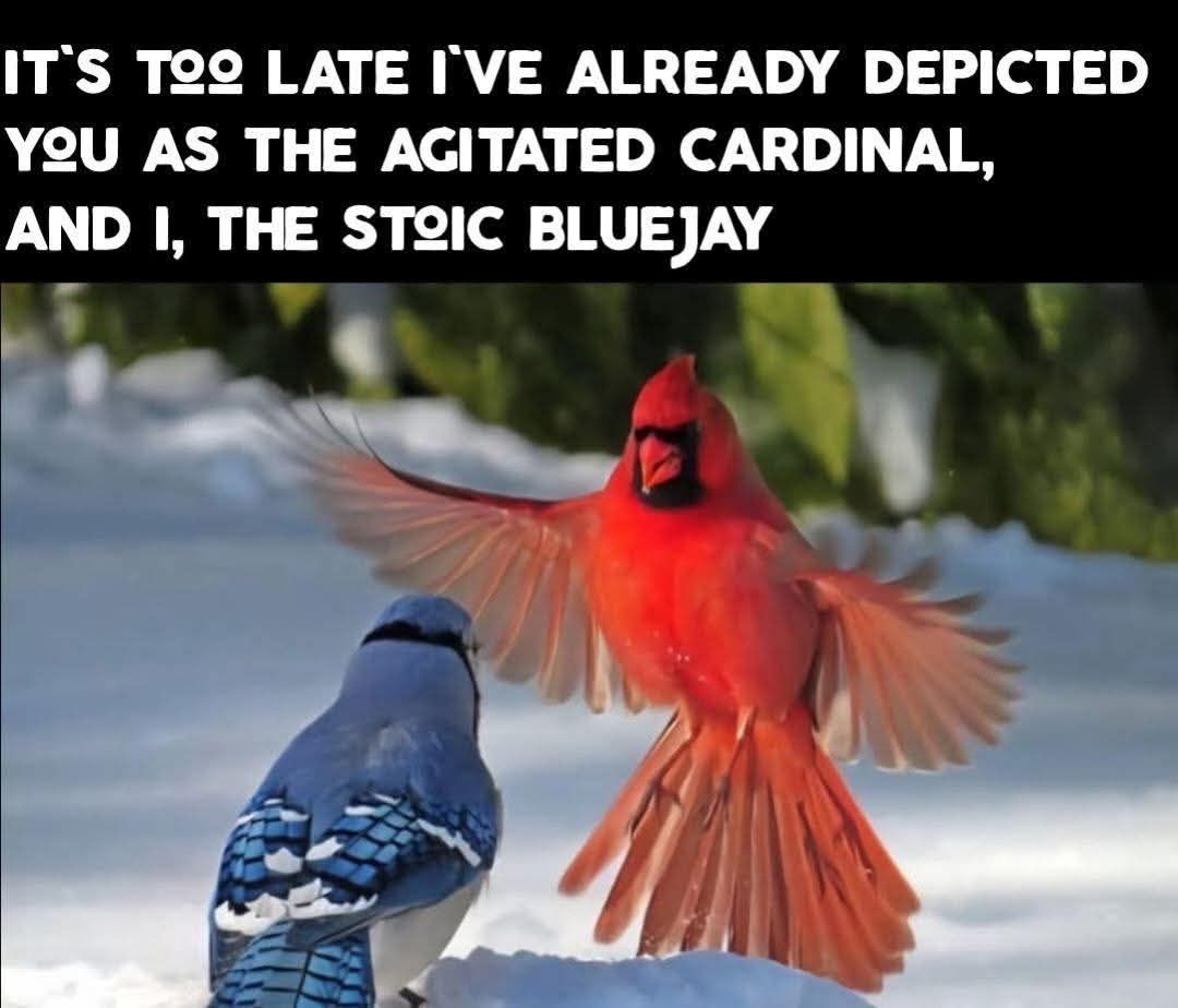 ‎ ‎ ‎