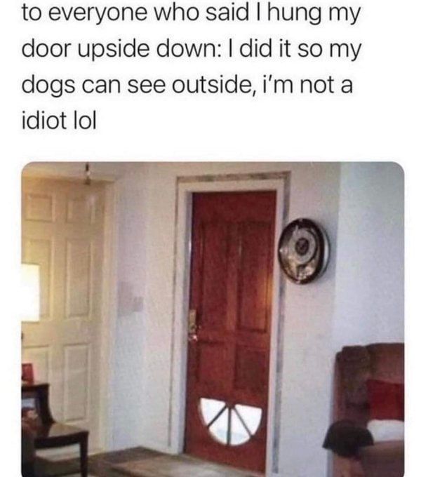 Duh!