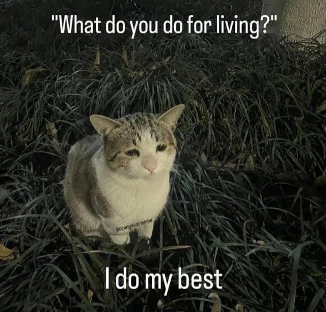 Cat.exe