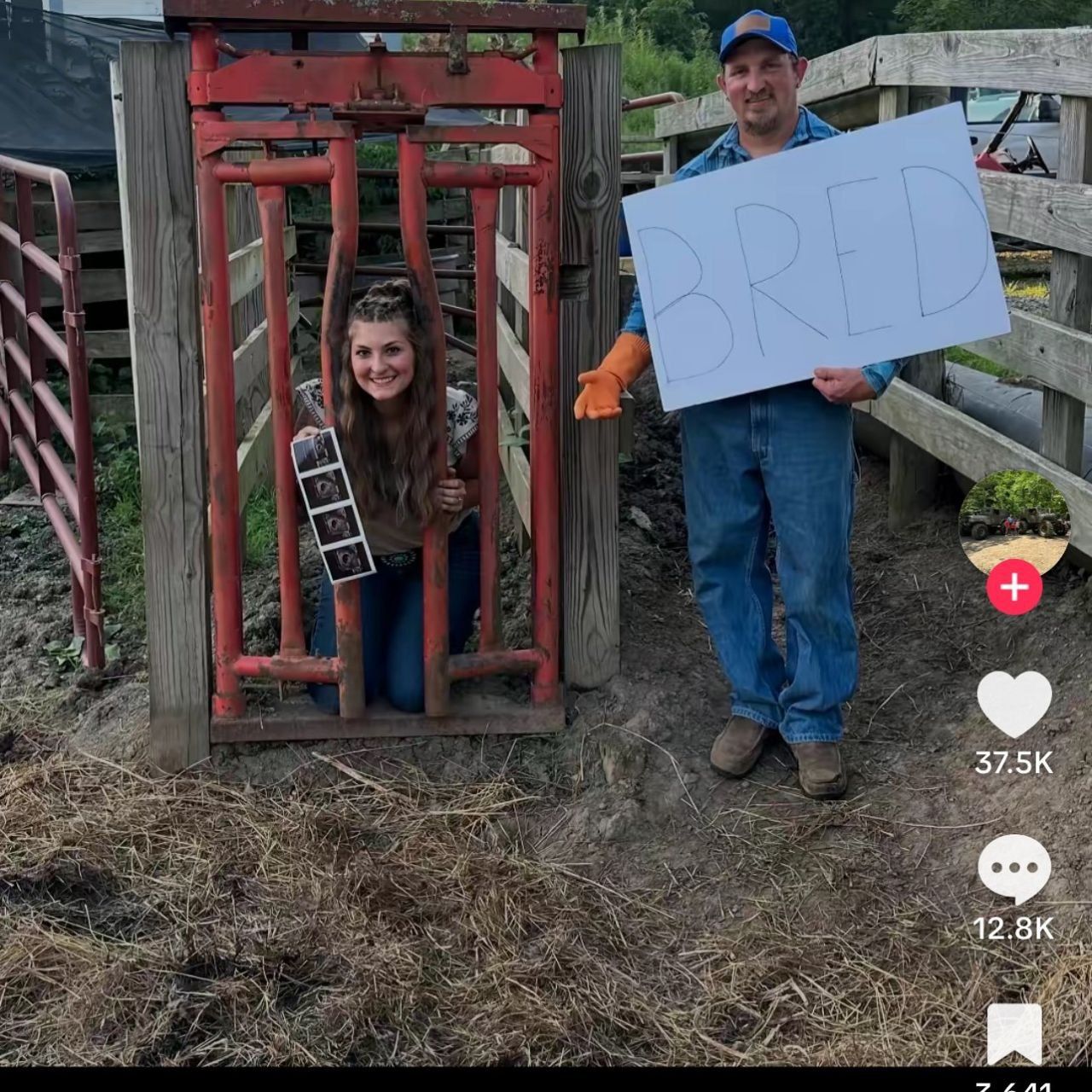 Wholesome