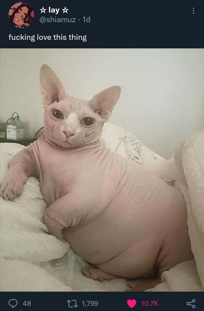 ​​​