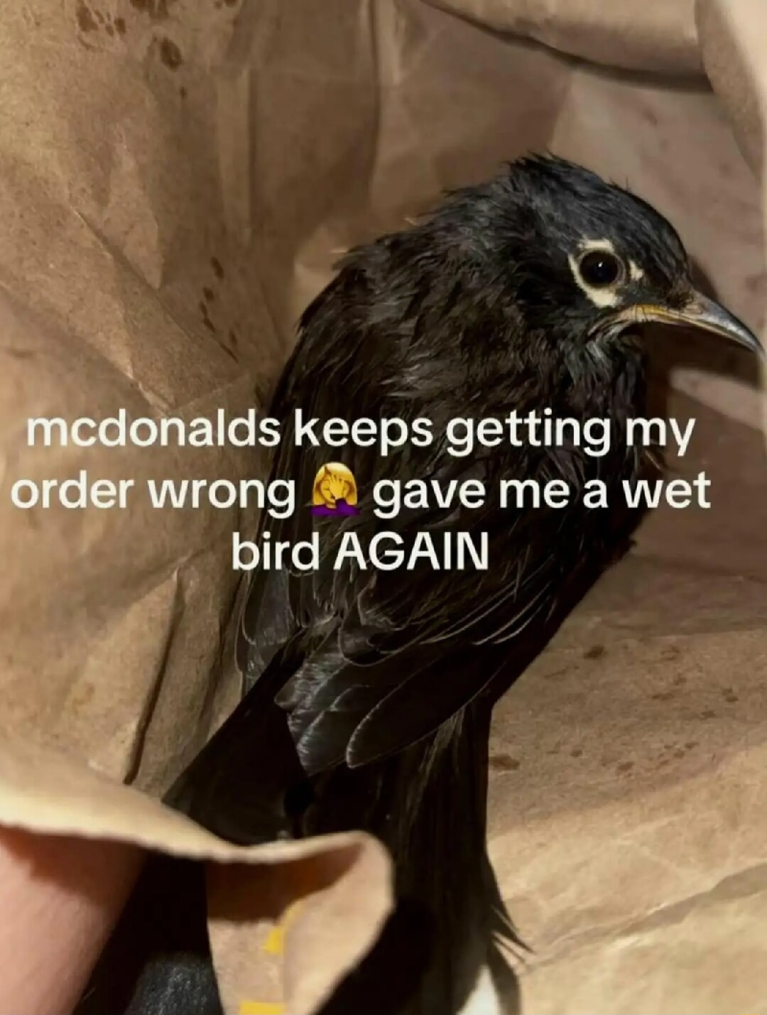 ​​​
