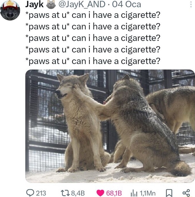 ​​​