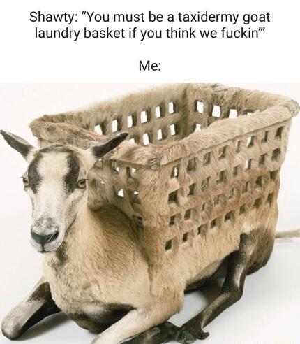 ​​​